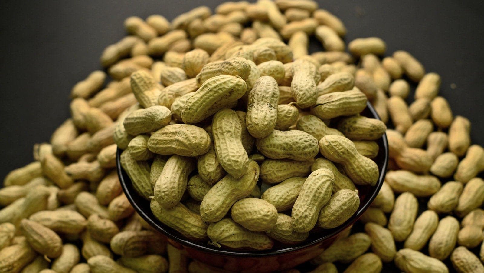 6b97ce8de70a977b28377d0693e3bad6