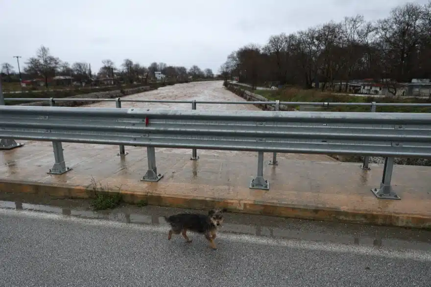Λάρισα: Η θάλασσα έγινε ένα με τη στεριά – Πλημμύρες σε δρόμους και αγροτικές εκτάσεις 5 agiokampos 5
