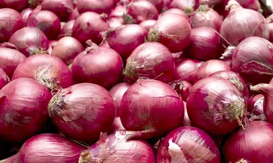 Κρεμμύδια: Ποια είναι τα οφέλη τους; 1 jesmond fruit barn red onions