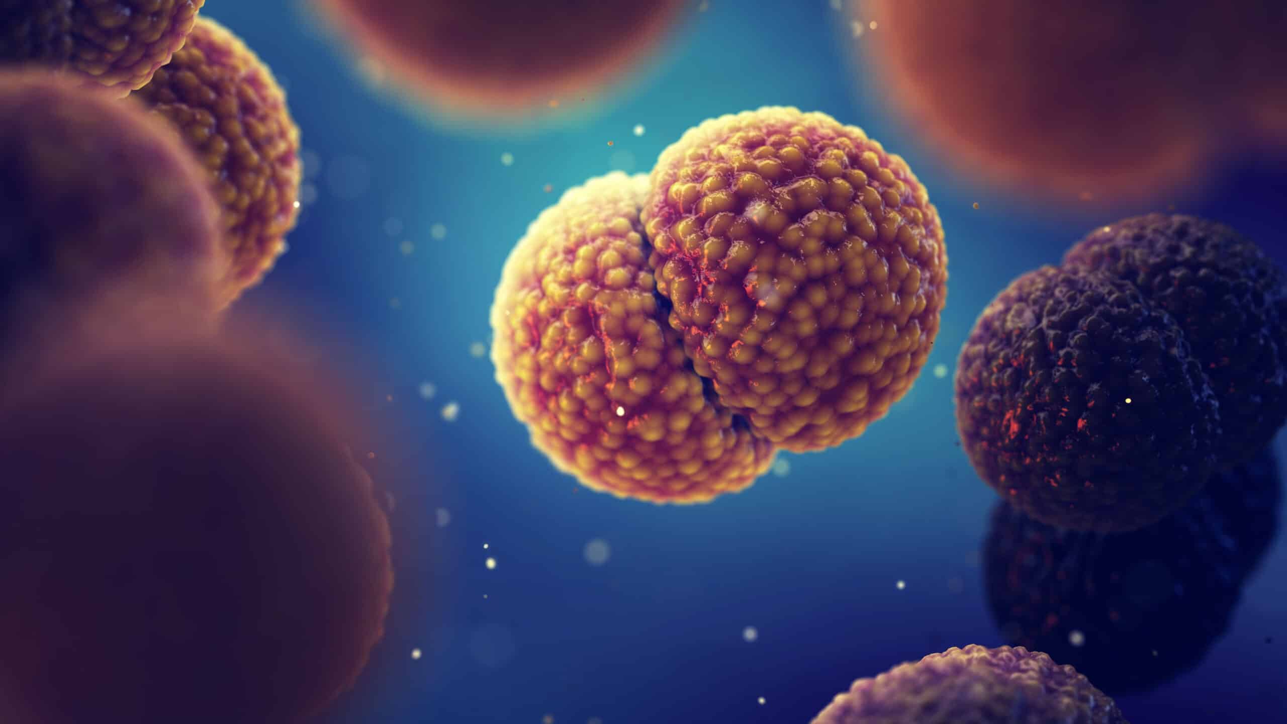 minigitidashutter scaled 1