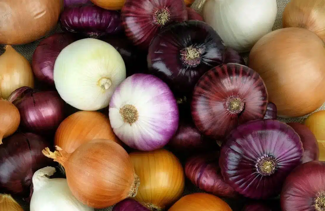 Κρεμμύδια: Ποια είναι τα οφέλη τους; 2 red and white onions