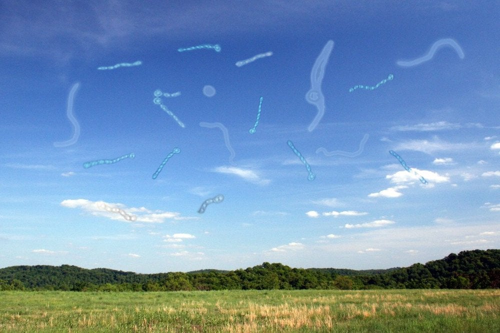 simadia poy kamia fora vlepo