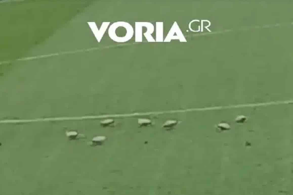 stigmiotypo othonis 2026 02 02 00.45.57