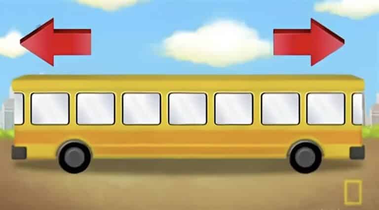 «Το 80% των παιδιών ξέρει προς ποια κατεύθυνση κινείται το λεωφορείο, αλλά οι ενήλικες δυσκολεύονται