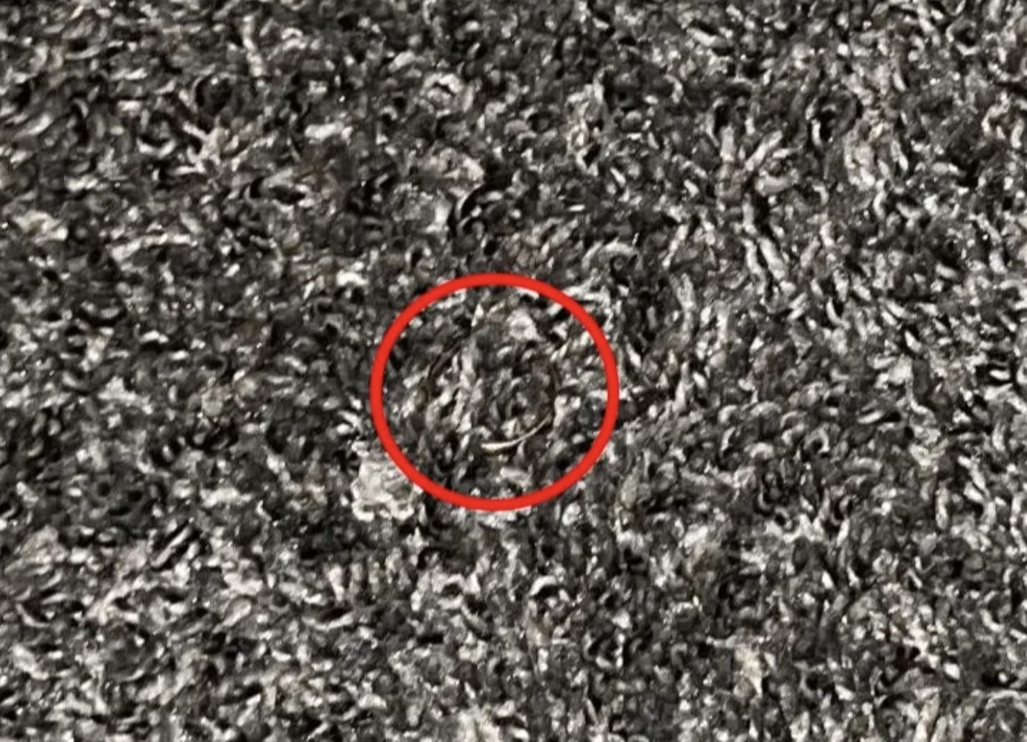 stigmiotypo othonis 2026 02 07 02.55.57