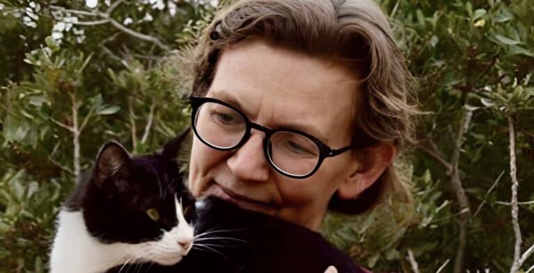 Αυτό το ελληνικό νησί ψάχνει εθελοντές για να εργαστούν σε καταφύγιο με γάτες – Τι προσφέρει δωρεάν 