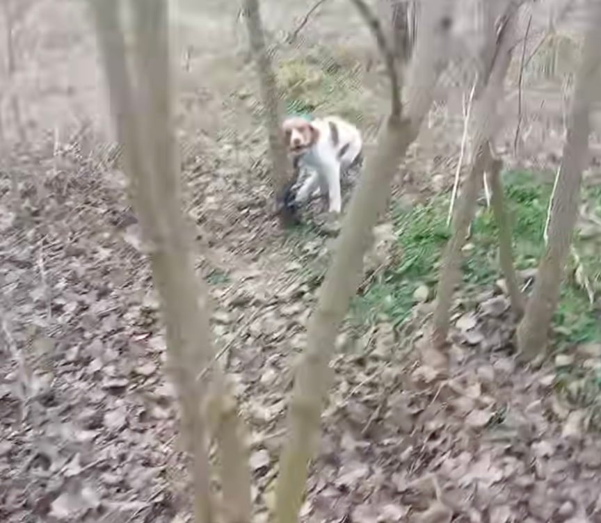 stigmiotypo othonis 2026 02 10 22.19.09