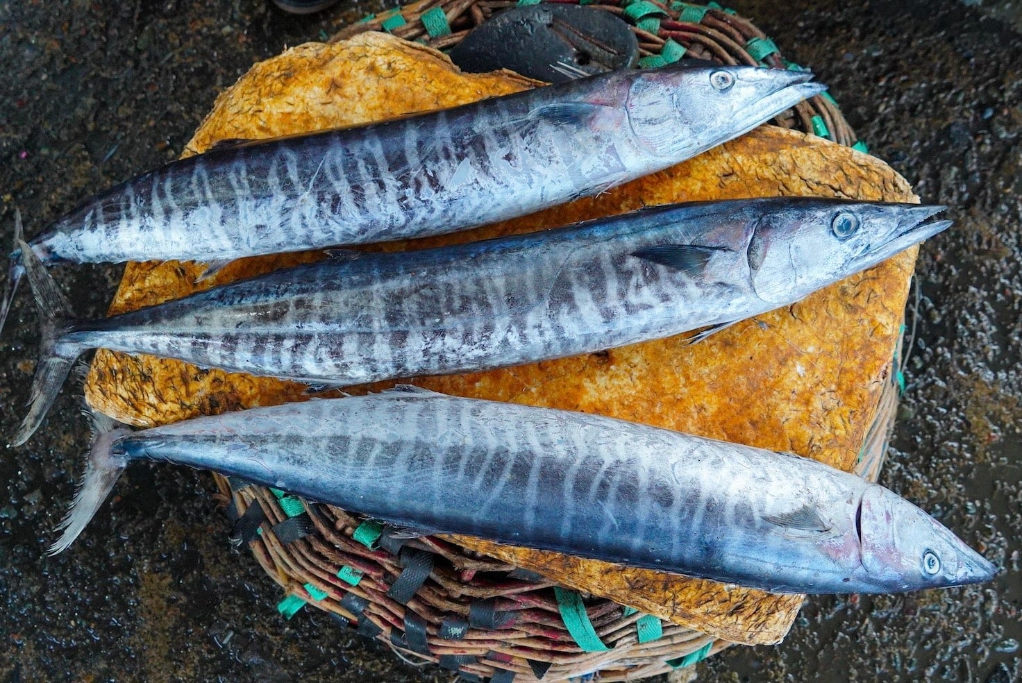 stigmiotypo othonis 2026 02 13 20.53.10