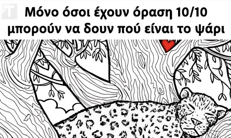 Μόνο όσοι έχουν όραση 10/10 μπορούν να δουν πού είναι το ψάρι