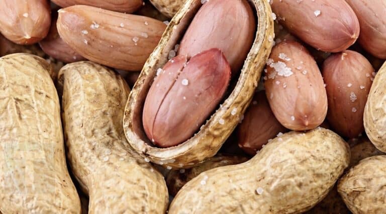 Οι γιατροί αποκαλύπτουν ότι η κατανάλωση φιστικιού προκαλεί…