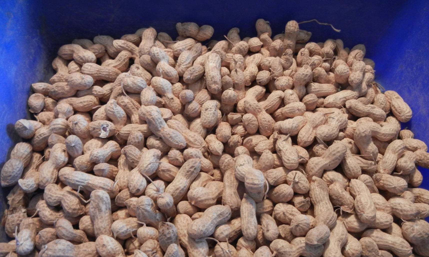 stigmiotypo othonis 2026 02 19 01.54.00