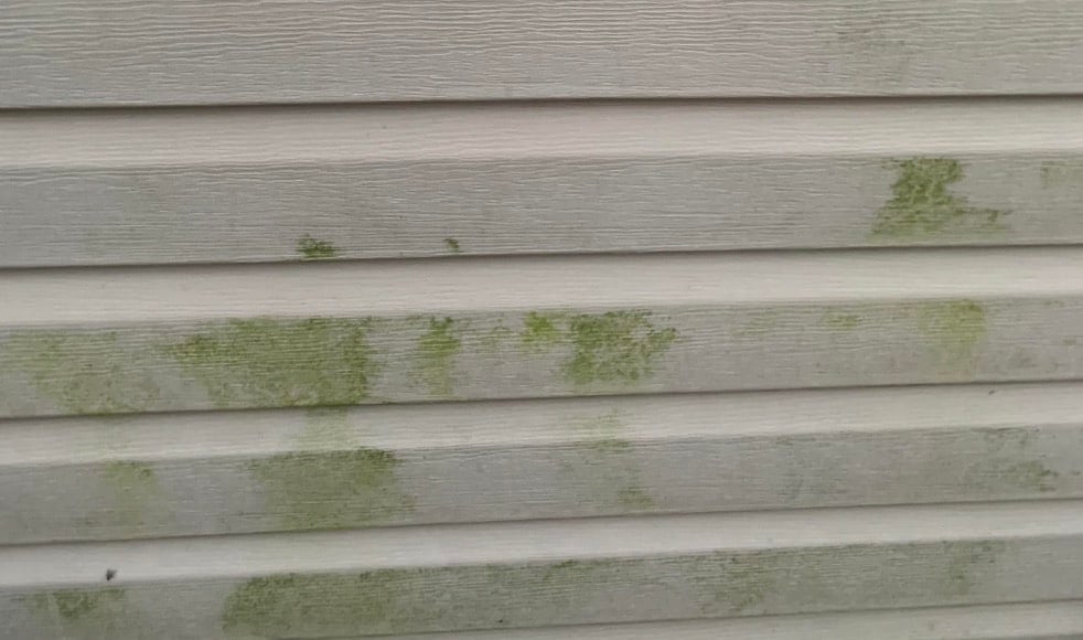 stigmiotypo othonis 2026 02 19 14.01.12