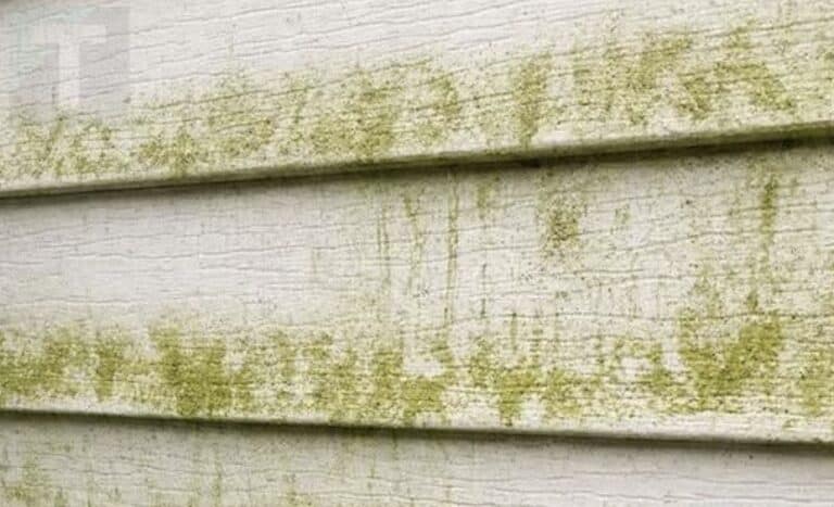 Πως να αφαιρέσετε την πράσινη μούχλα έξω από το σπίτι