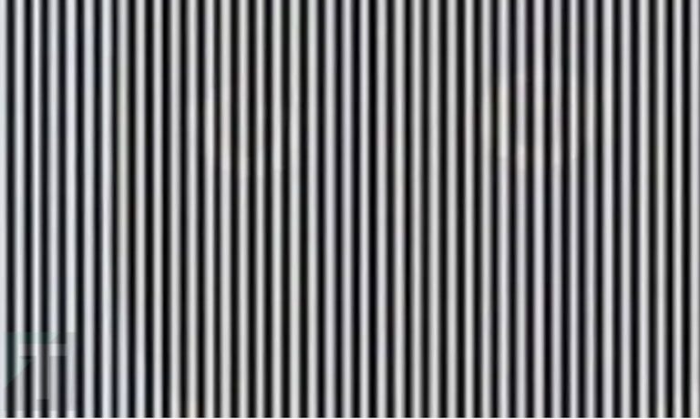 Δοκιμάστε τις ικανότητές σας και προσπαθήστε να μαντέψετε ποιο ζώο μπορείτε να δείτε στην εικόνα