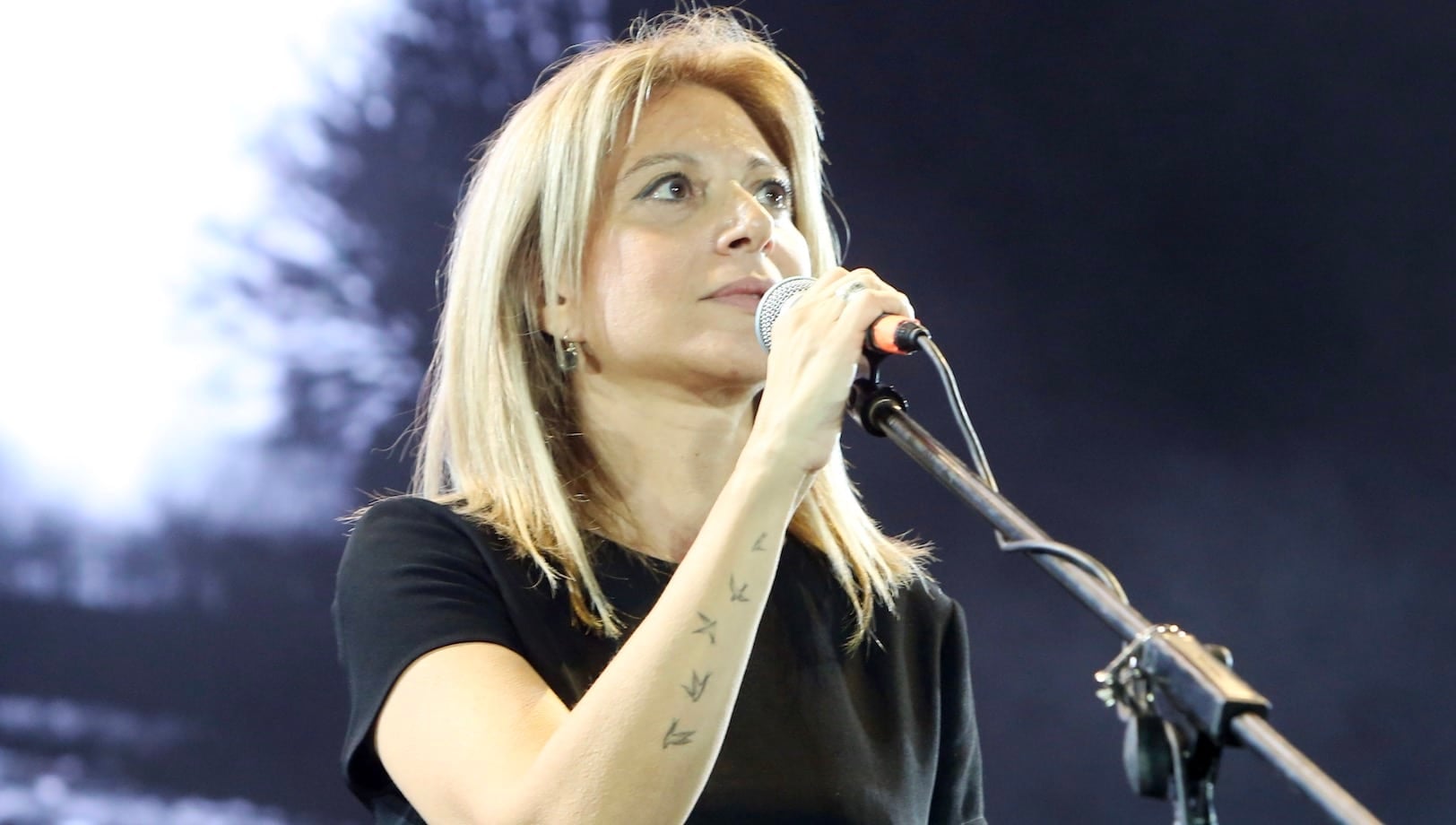 stigmiotypo othonis 2026 02 21 22.45.21