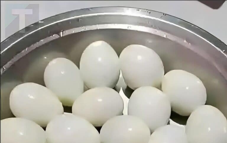 Πόσα αυγά βλέπετε σε αυτή την φωτογραφία;