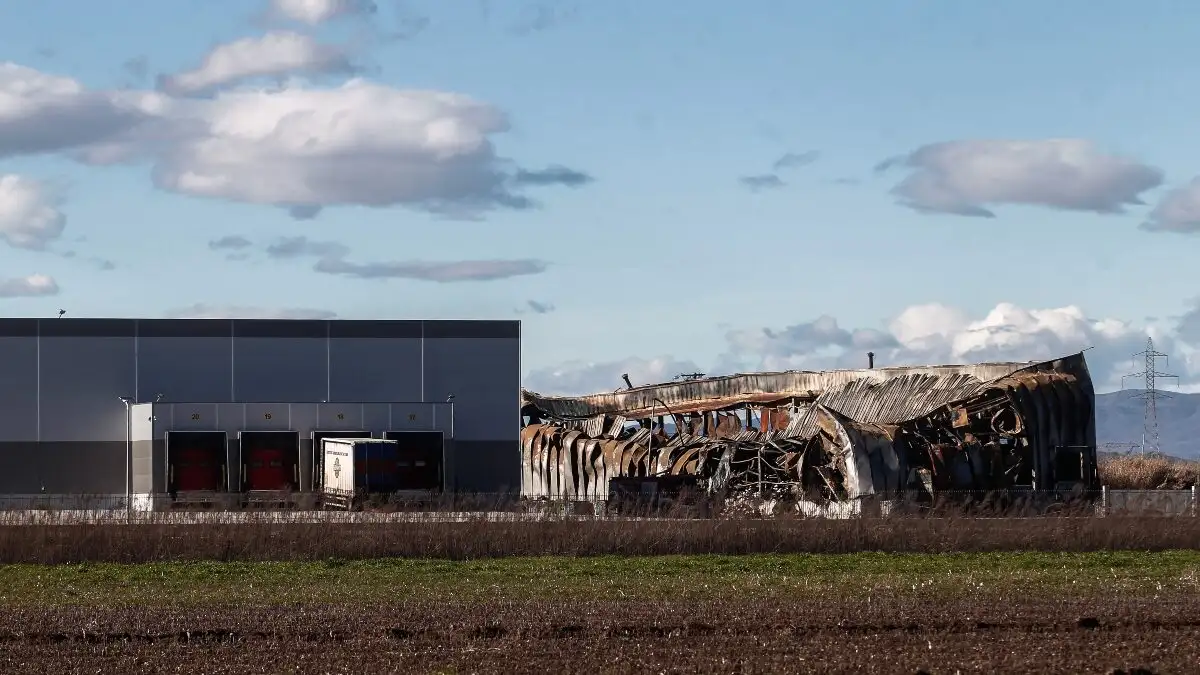 violanta 7 1 1200x675 1