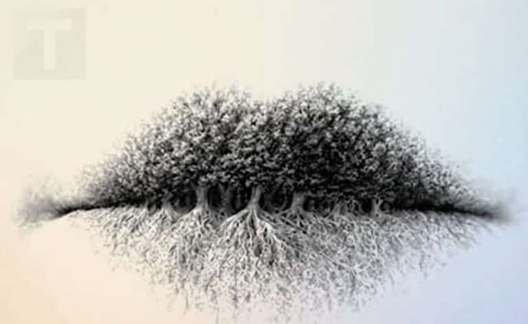 3 πράγματα εμφανίζονται σε αυτή την εικόνα