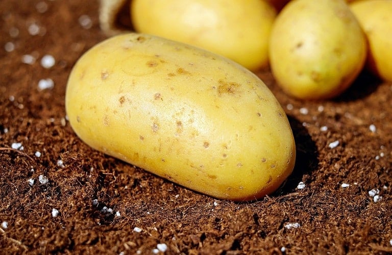 1656661157 0 potatoes g4691c90ec 1280