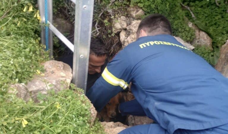 Διάσωση σκύλου από πηγάδι 15 μέτρων τον έψαχναν 10 μέρες οι κηδεμόνες του