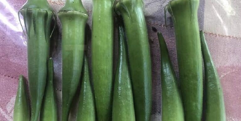 Οι γιατροί αποκαλύπτουν ότι η τακτική κατανάλωση μπάμιας μπορεί να προκαλέσει…