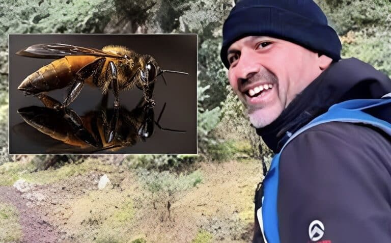 Τι είναι το αλλεργικό σοκ από το οποίο πέθανε ο 46χρονος στο Ναύπλιο: Πότε ένα τσίμπημα γίνεται απειλητικό για τη ζωή