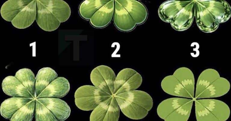 Αυτό το απλό παζλ με τετράφυλλα αποκαλύπτει περισσότερα για εσάς από ό,τι νομίζετε