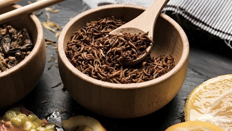 Έντομα στο πιάτο μας: Μπαίνει και η Ελλάδα στη νέα διατροφική αγορά