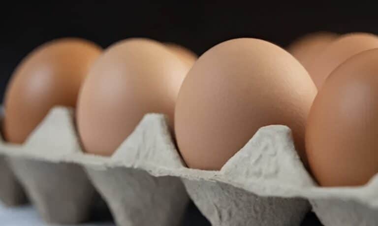 Μέγα σκάνδαλο με τα ελληνικά αυγά – Οι καταναλωτές τα αγοράζουν και δεν παίρνουν χαμπάρι – Τι συμβαίνει