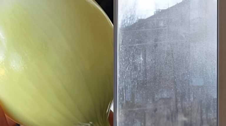 Βρώμικα τζάμια: Το κόλπο με το κρεμμύδι που θα τα κάνει «αόρατα»