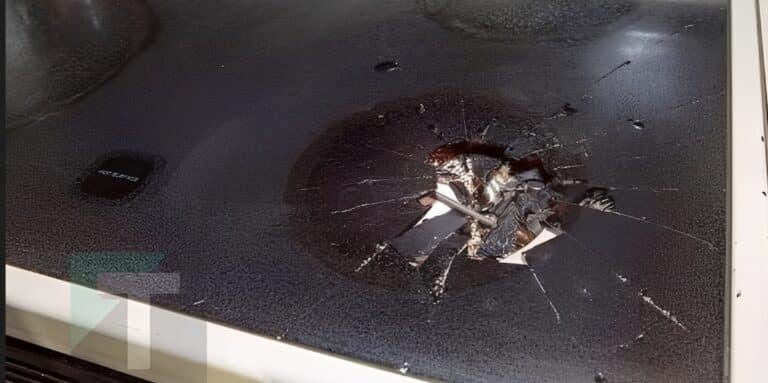 Μην το κάνετε αυτό στην κεραμική εστία σας