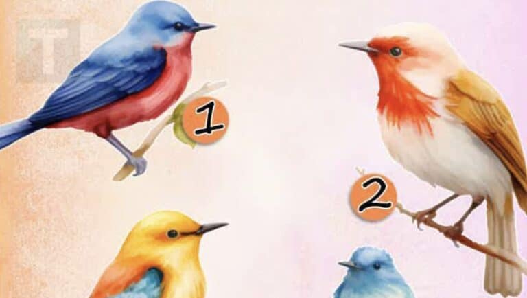 Διάλεξε τον κοκκινολαίμη σου – Η επιλογή σου αποκαλύπτει ποιος περπατάει δίπλα σου