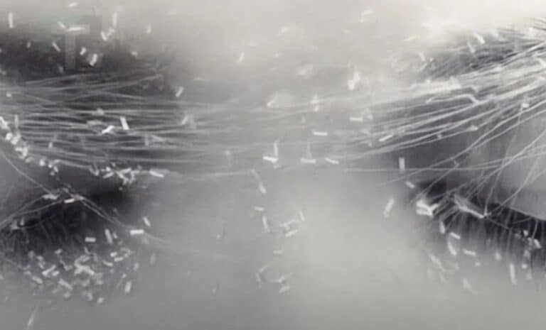 Tα ζώδια που είναι πιο πιθανό να έχουν προφητικά όνειρα