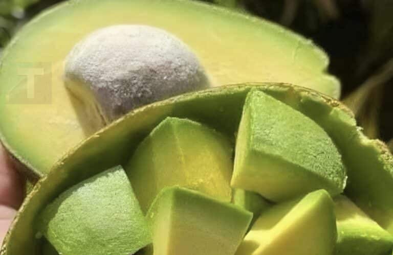 Οι γιατροί αποκαλύπτουν ότι η κατανάλωση αβοκάντο προκαλεί…