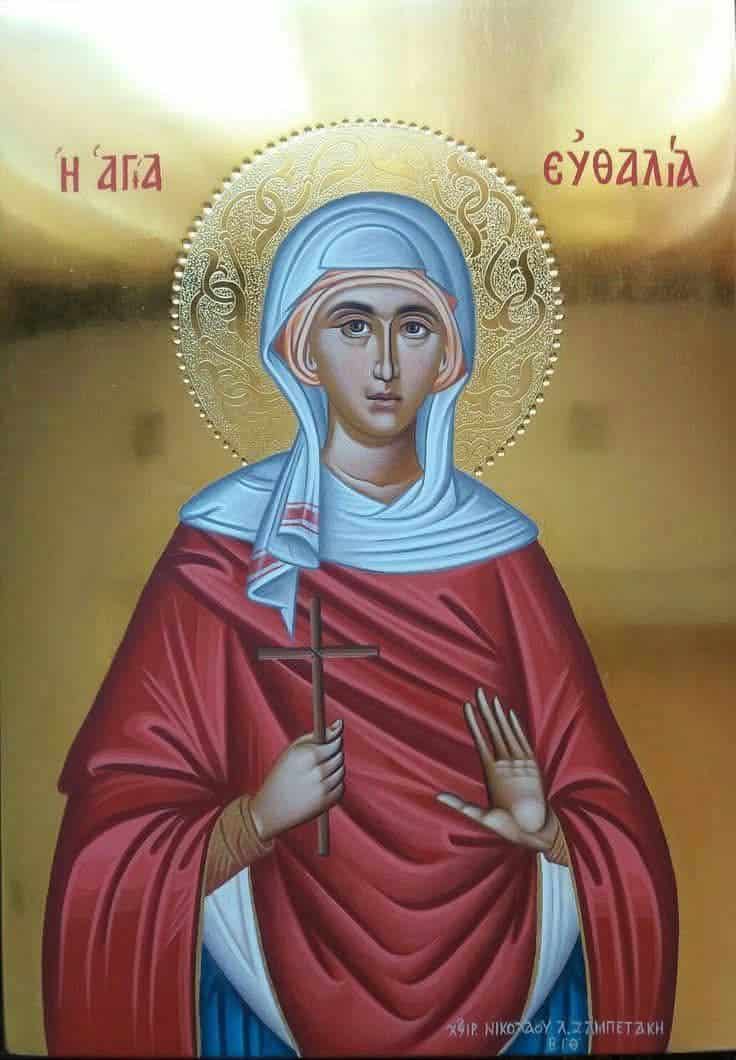 487696222 992725019617005 1285085733961811782 n