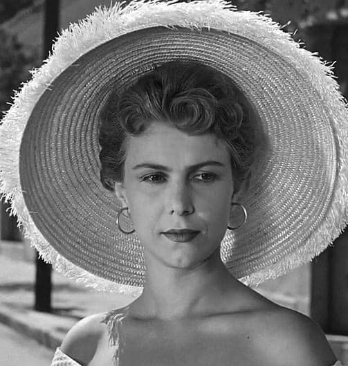 565716509 1393977208759004 8771126079378079255 n