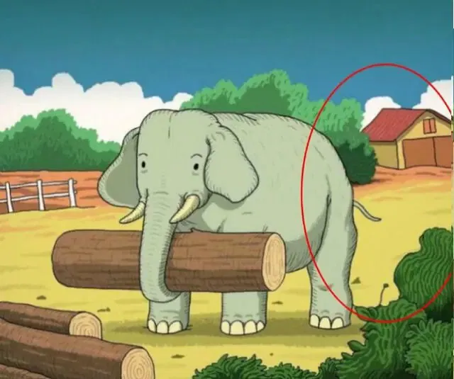 636568bcd61f1a32e46345ef.jpg 11zon