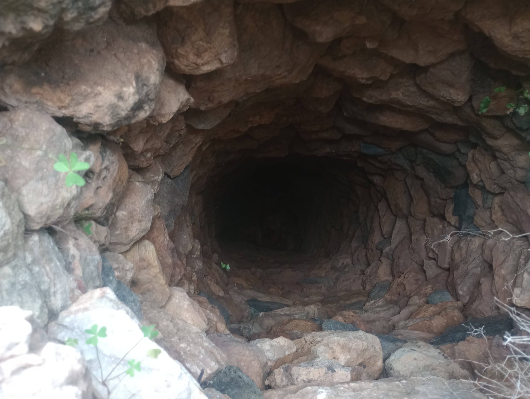 644473271 122111406699228867 3057514994923840084 n