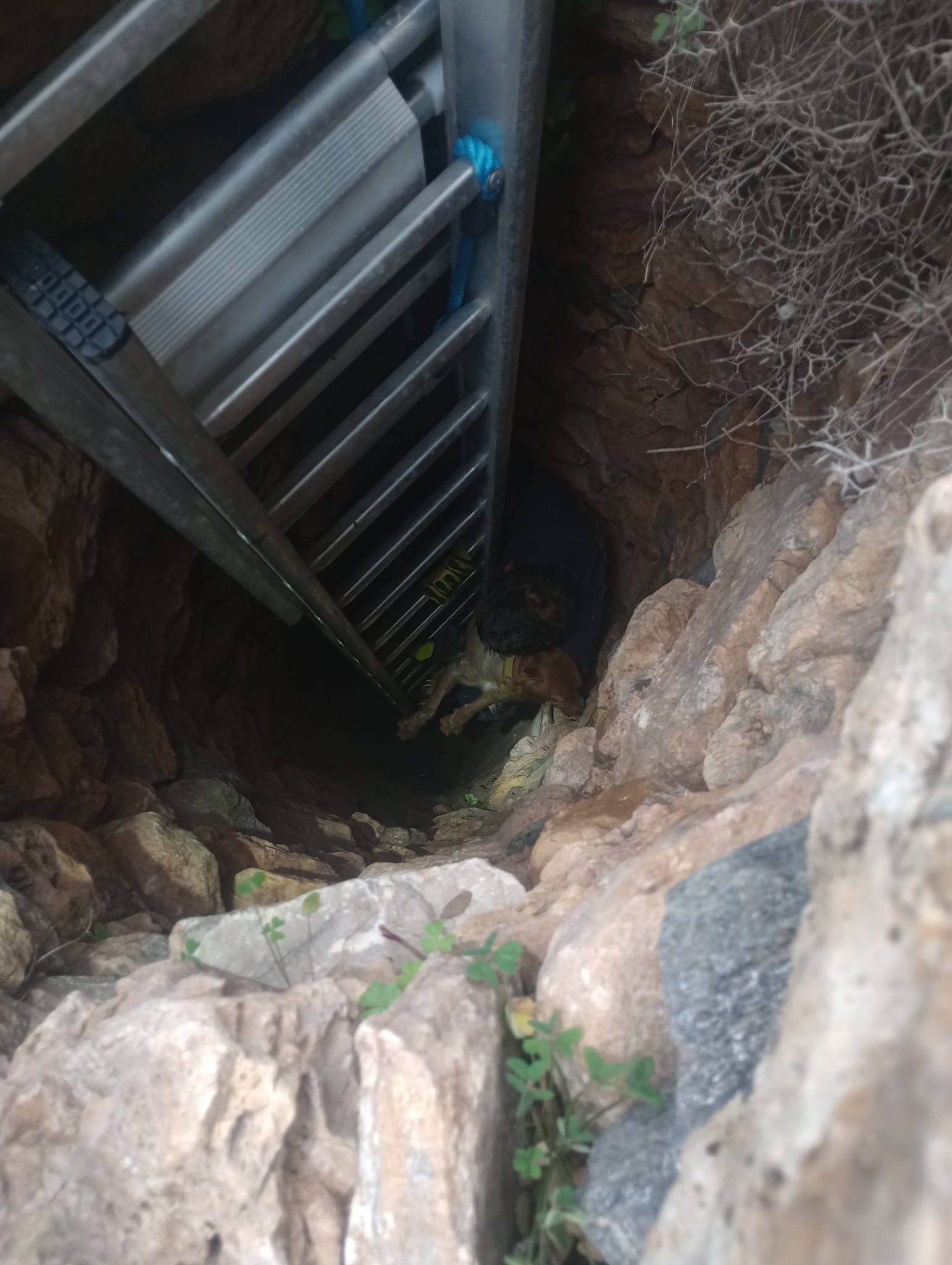 644788584 122111406705228867 5572265906673710972 n