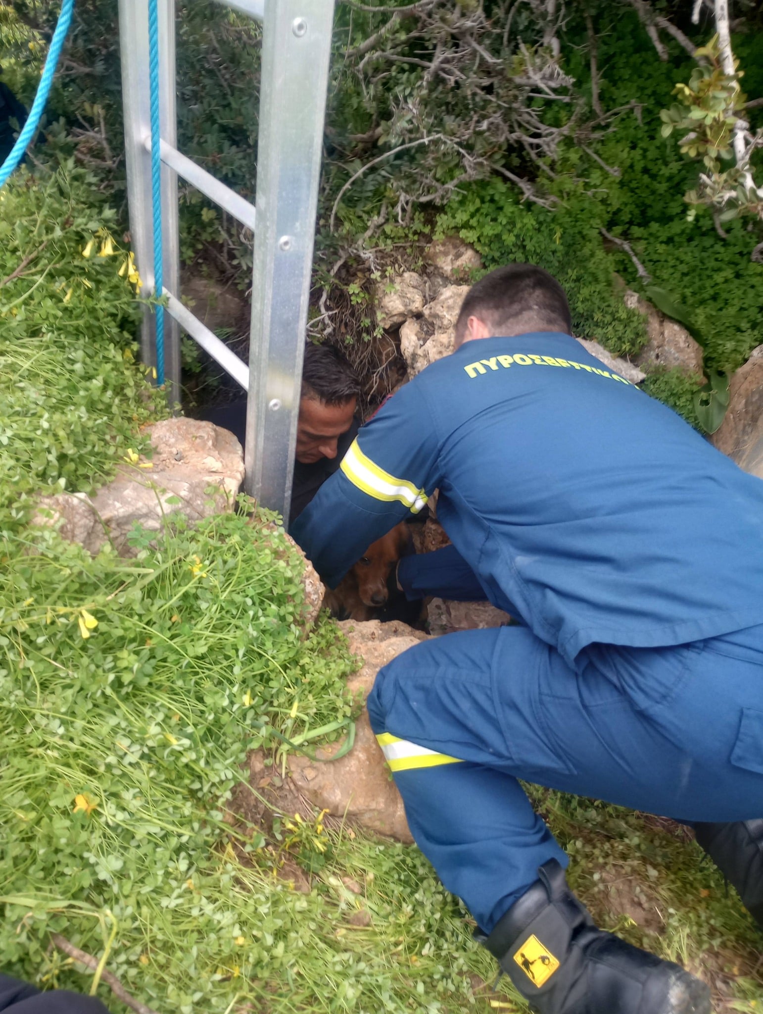 645070866 122111406627228867 4157129763452188945 n