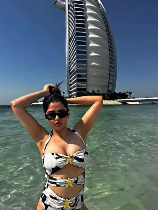 645329265 1360069792820791 3233885189987193731 n