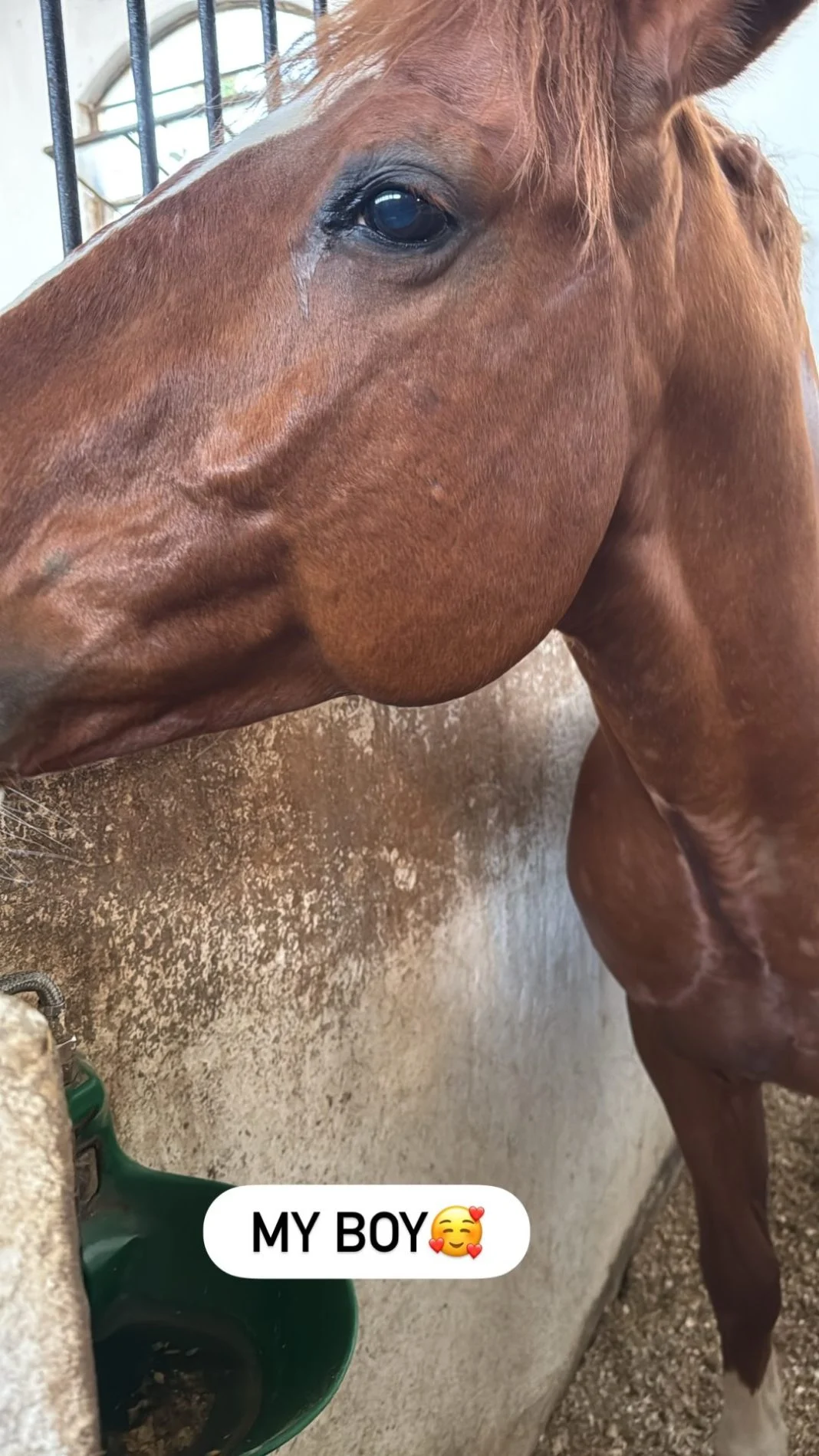 Ανθή Βούλγαρη: Γιόρτασε τα πρώτα γενέθλια του γιου της, Μάριου, με εντυπωσιακό πάρτι 2 anthi voulgari 10 1068x1899 1