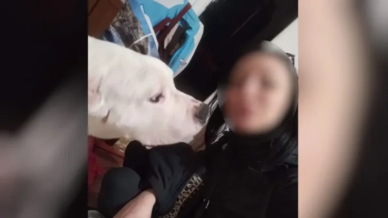 Μαθεύτηκε τι σοκαριστικό φώναζε ο 38χρονος στην 31χρονη έγκυο σύντροφό του που βρέθηκε νεκρή στον Κολωνό