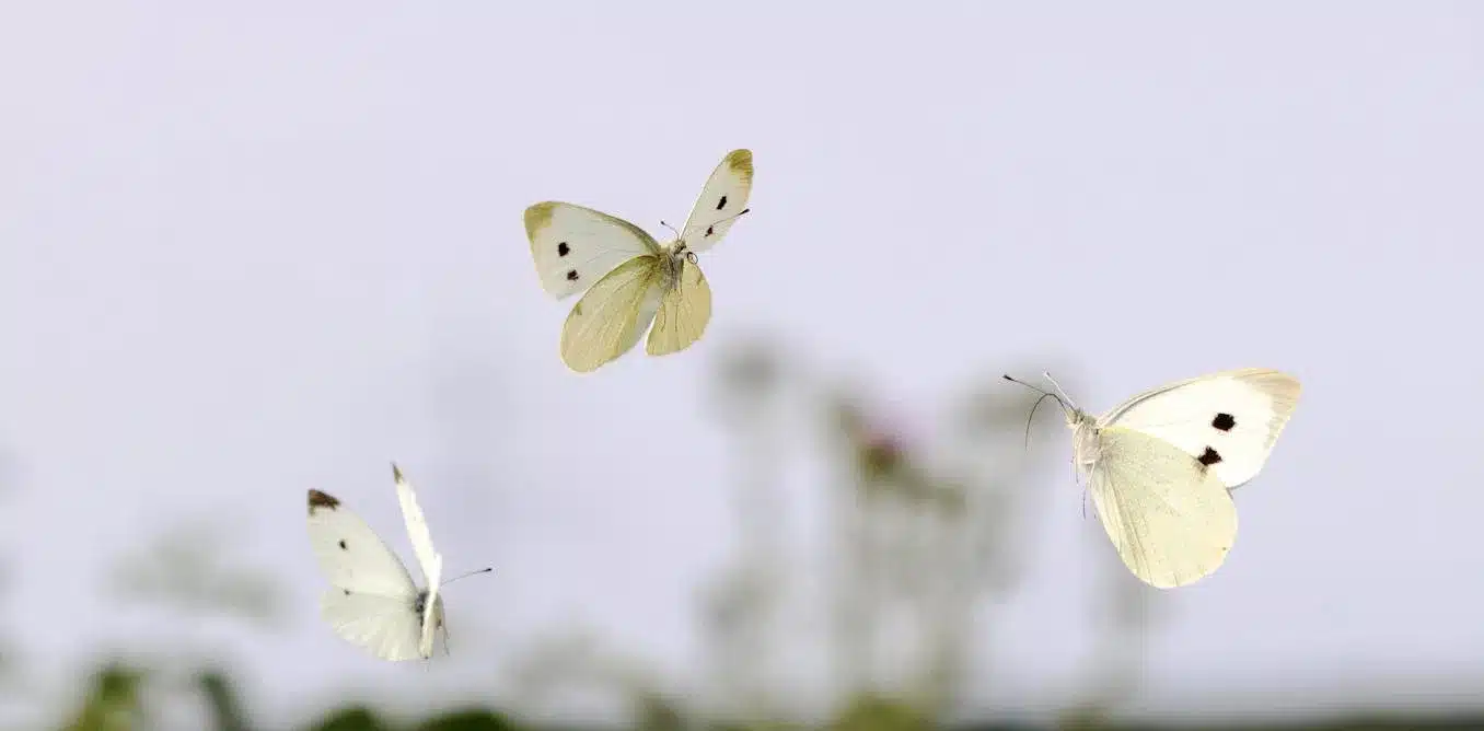 file 20231201 25 m00fvc