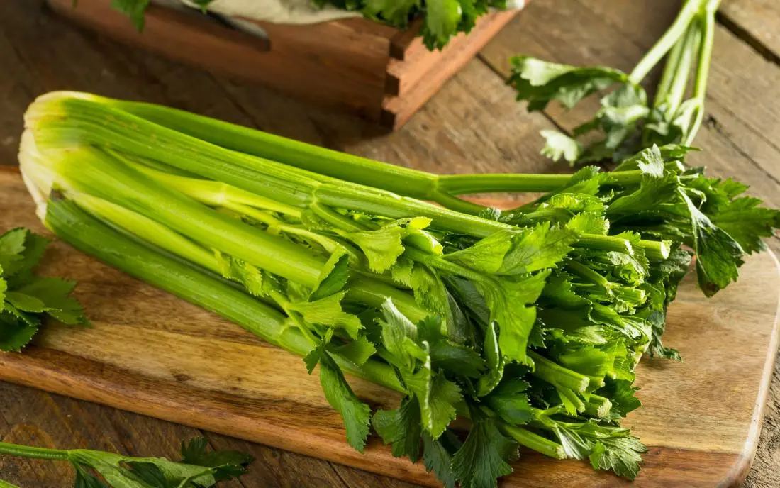 fresh celery on a table
