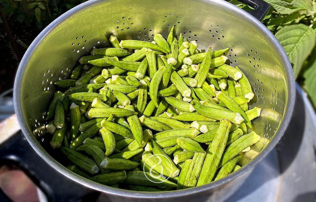 mpamies katharisma mageirema kai syntirisi stin katapsyksi