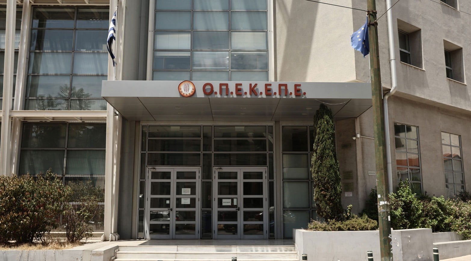 opekepe 15 1 2 1 1 1 1 1