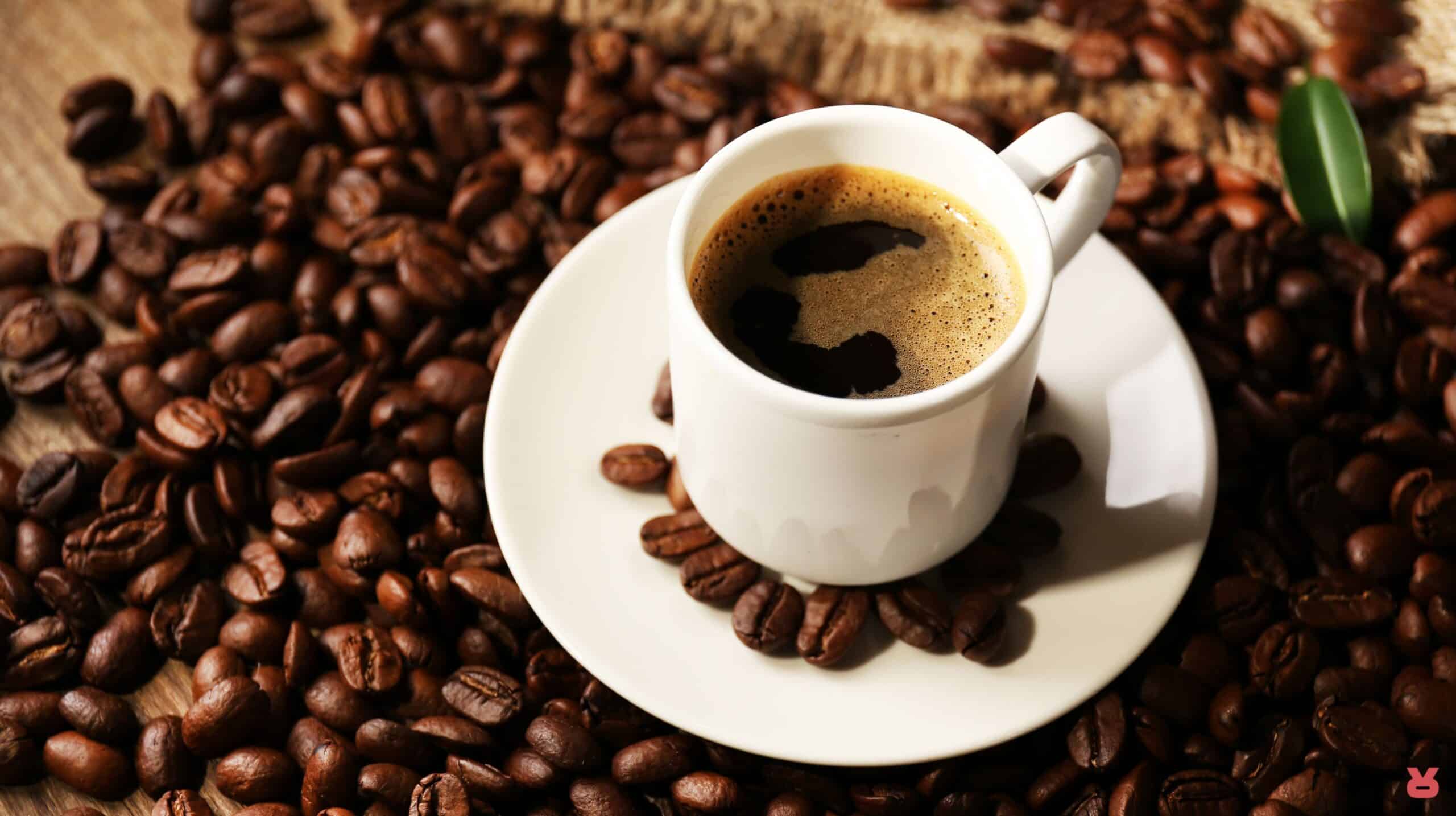 rizopoulos coffee decaf 03 scaled 1