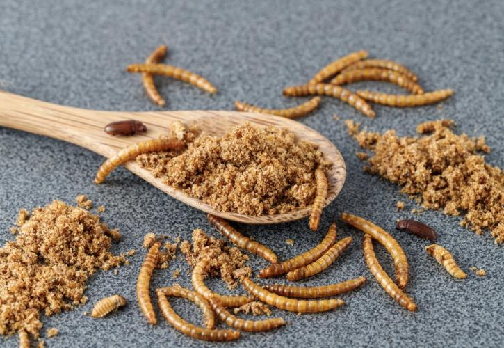 shutterstock vrosima entoma