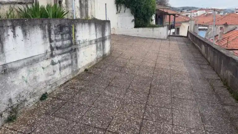 Βέροια: Ομολόγησε τον άγριο ξυλοδαρμό της 24χρονης ο νεαρός που προσήχθη – Παραμένει σε κρίσιμη κατάσταση το θύμα